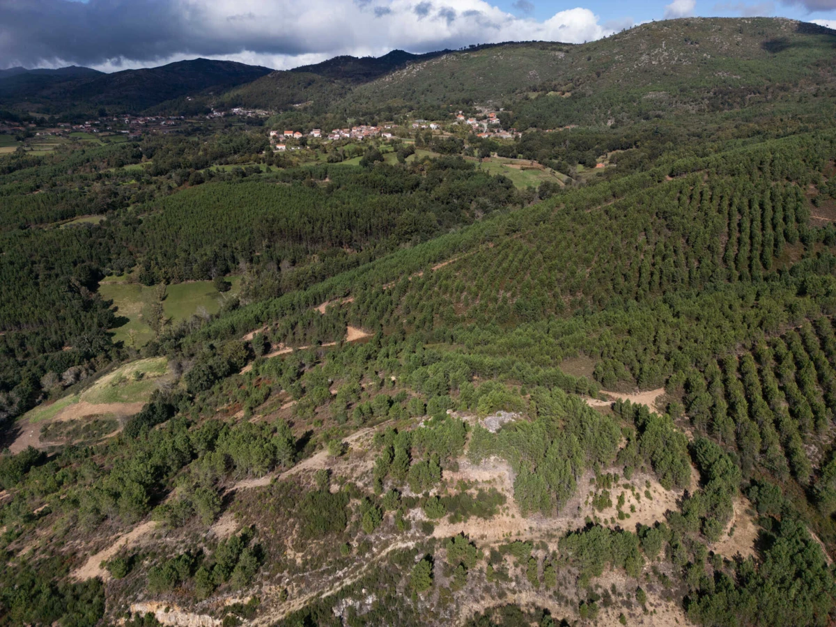 Populações do Barroso contra as minas