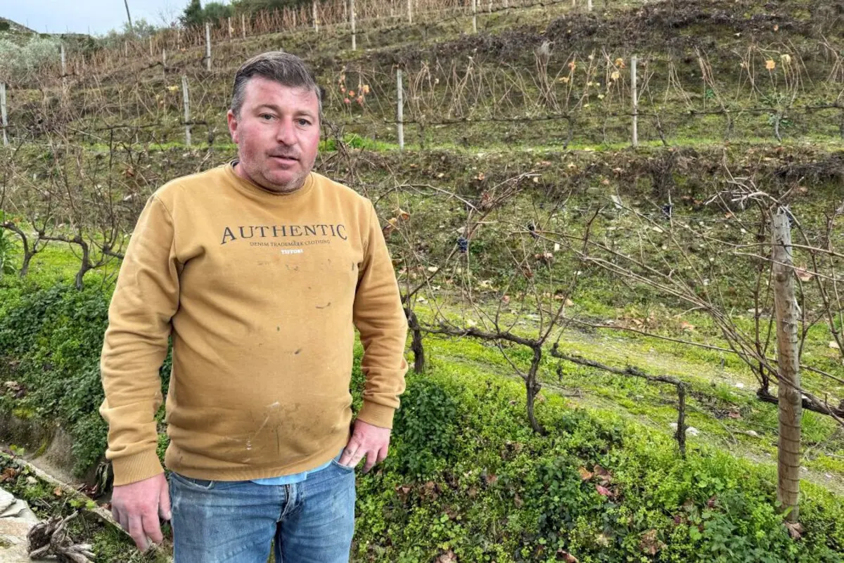 Hugo Nogueira diz que atualmente é impossível viver apenas da viticultura