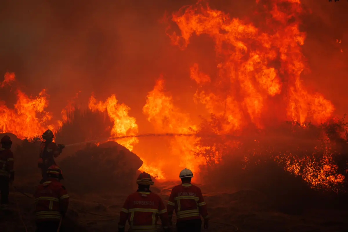 Imagem de contexto do artigo Incendiou monte para se vingar de vizinho em Cinfães