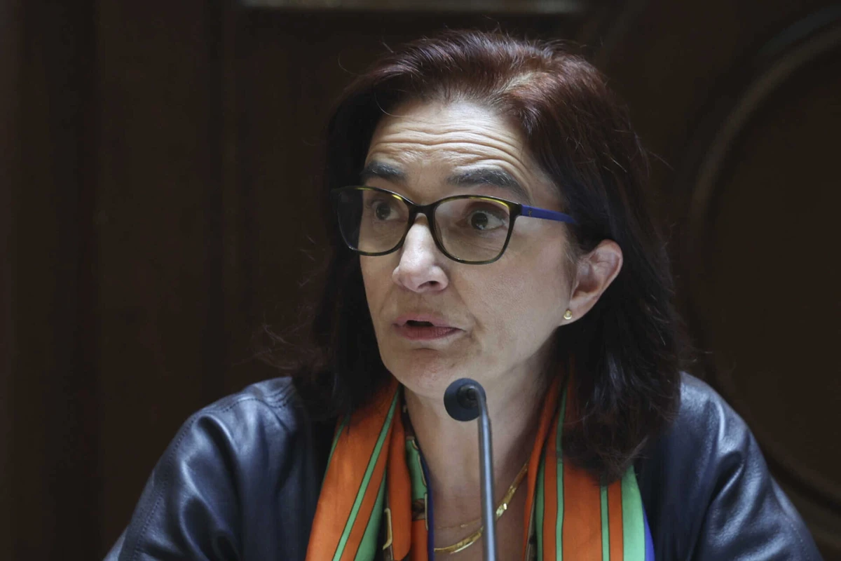 A ministra da Ciência, Tecnologia e Ensino Superior, Elvira Fortunato