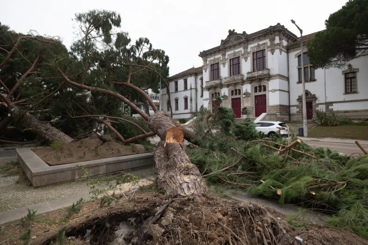 Chuva vai prolongar-se na primeira quinzena de fevereiro