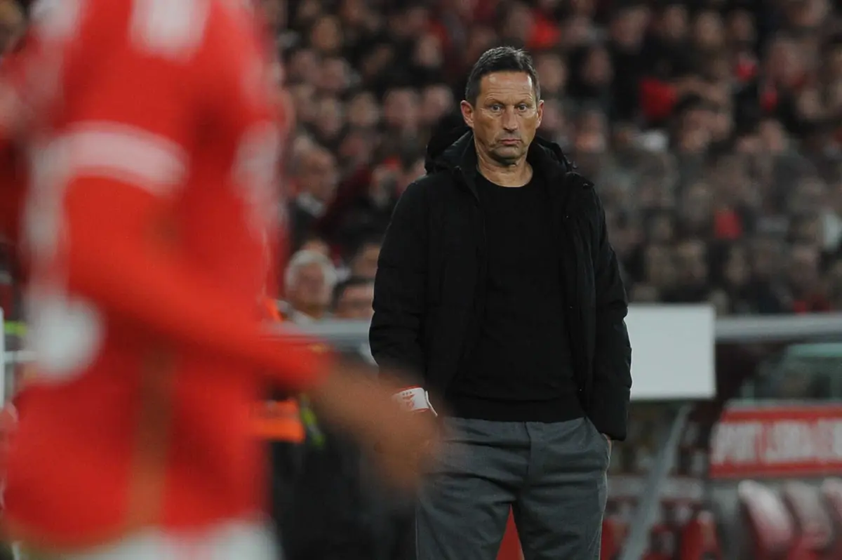 Roger Schmidt, treinador do Benfica
