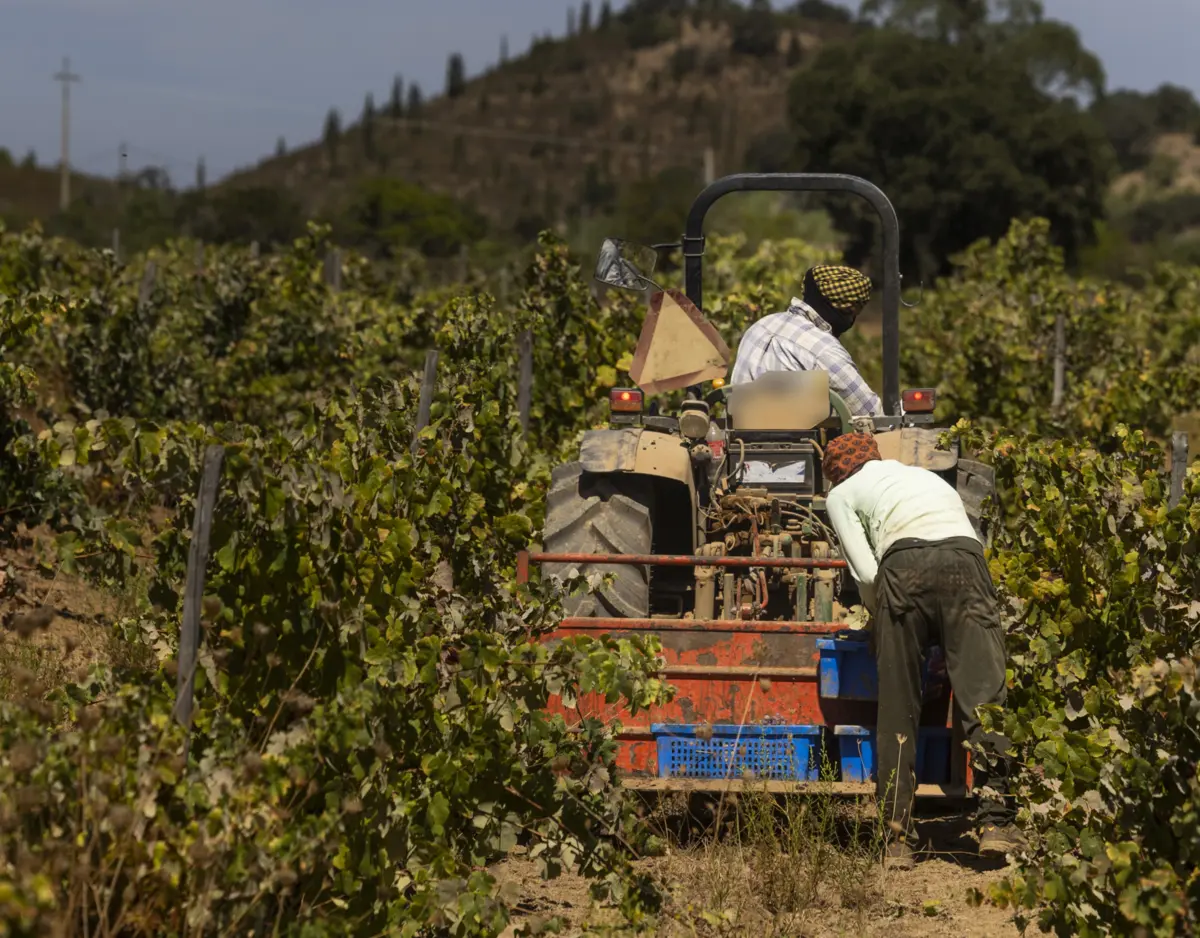 Estado tinha programa para ajudar agricultores a substituir equipamentos agrícolas
