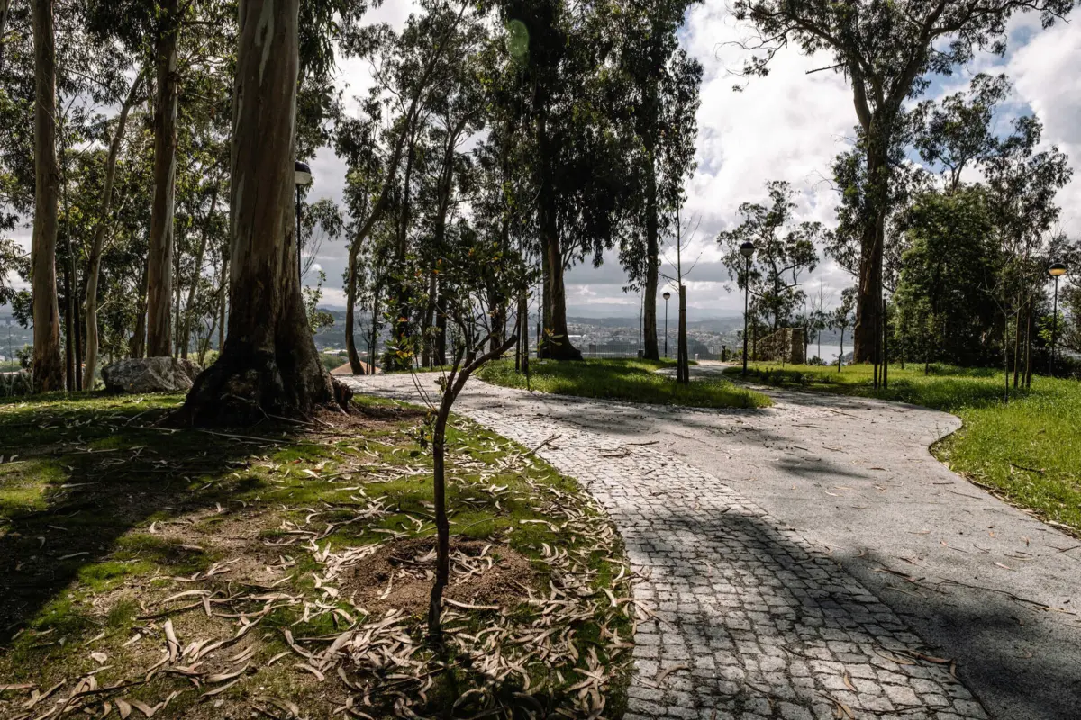O Parque de S. Roque é um dos locais onde vão ser plantadas árvores