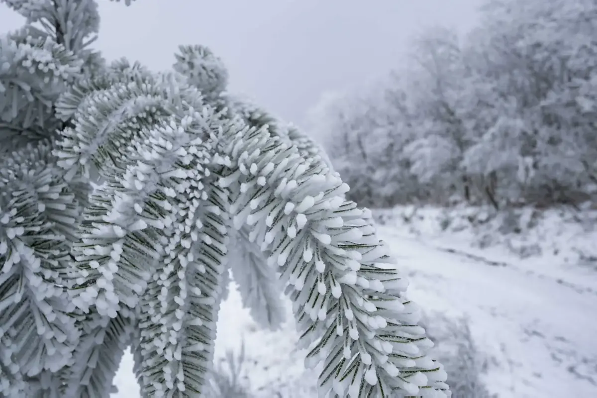 Montalegre encontra-se sob aviso laranja devido à queda de neve