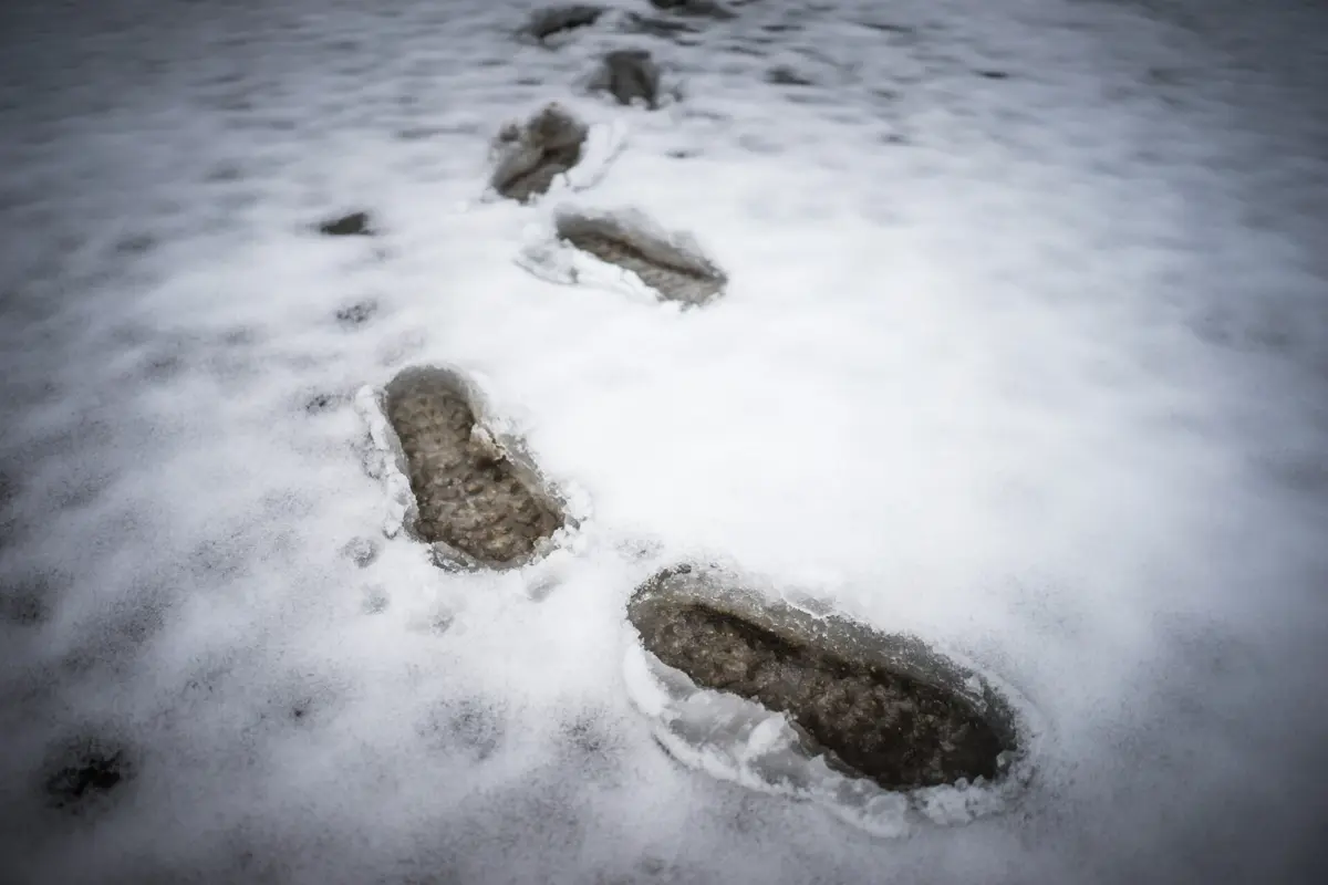 Imagem de contexto do artigo Montalegre com escolas fechadas devido à neve