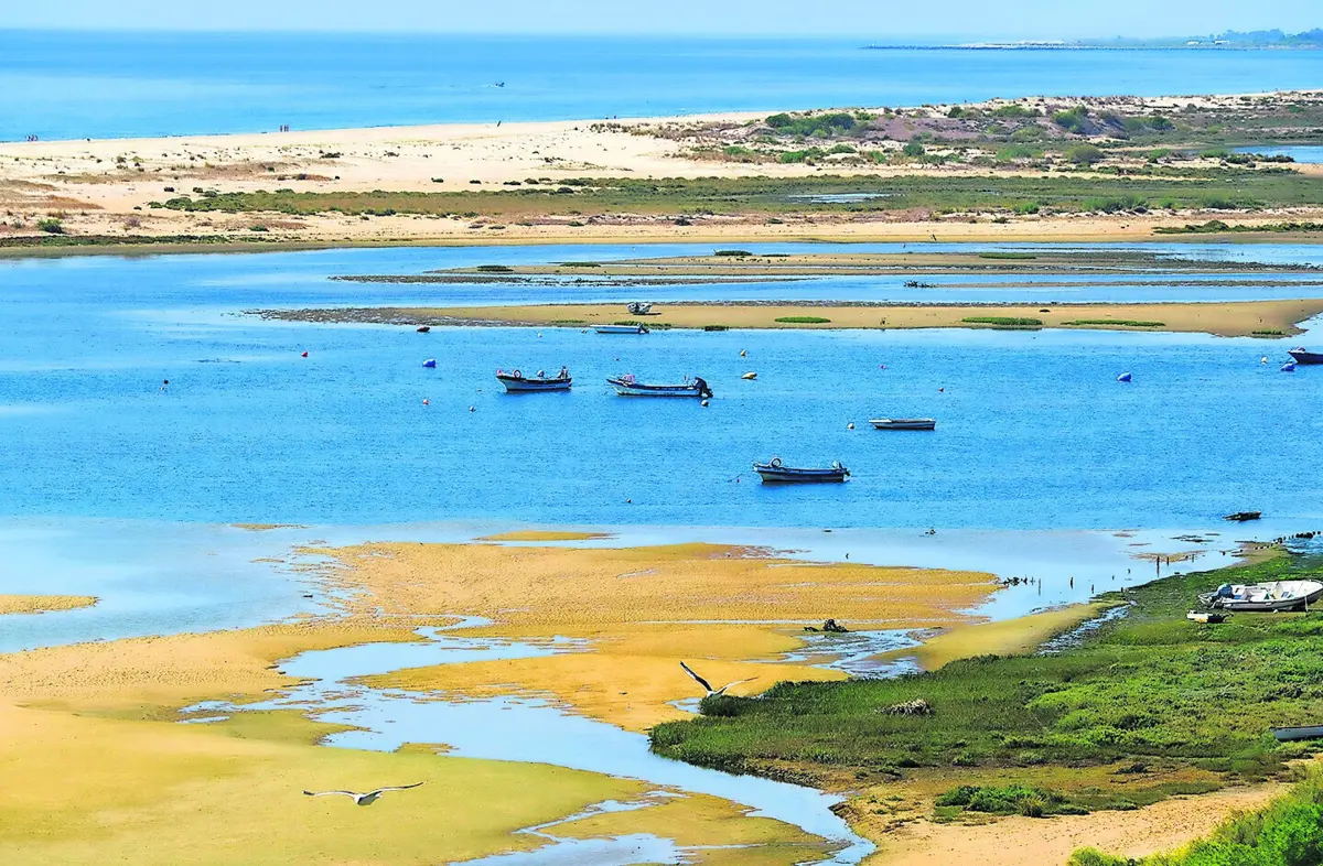Praia atrai no verão legião de visitantes