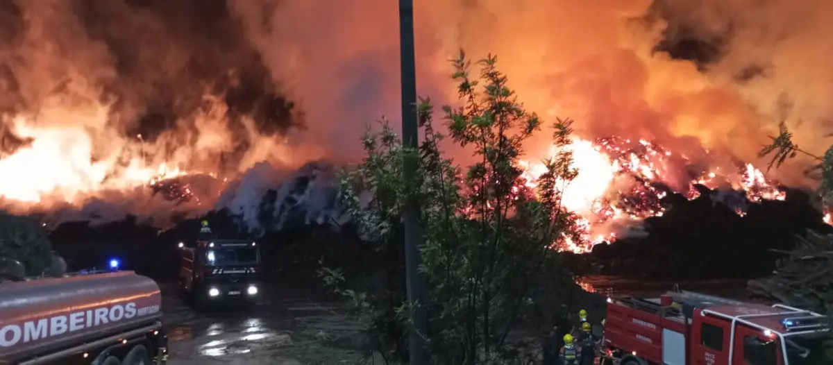 Fogo numa empresa de pellets de Arganil