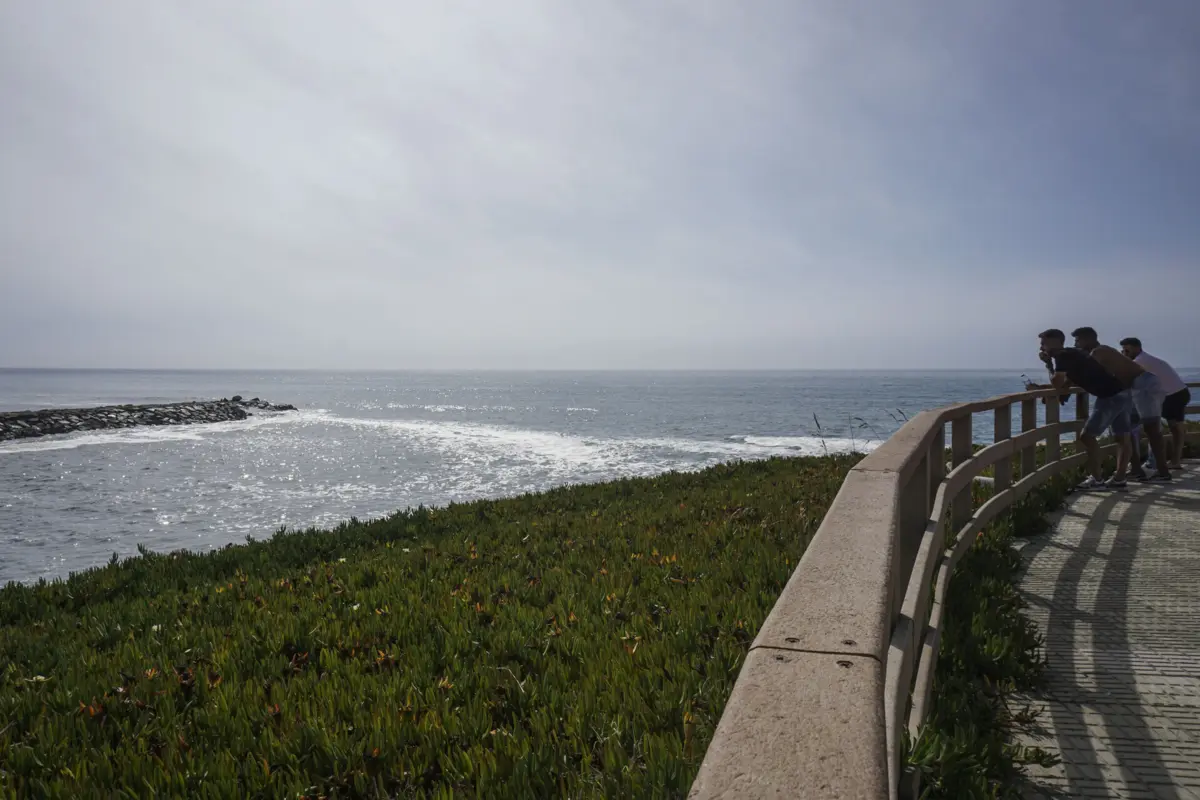 Imagem de contexto do artigo Cinco dias de música na praia de Cortegaça