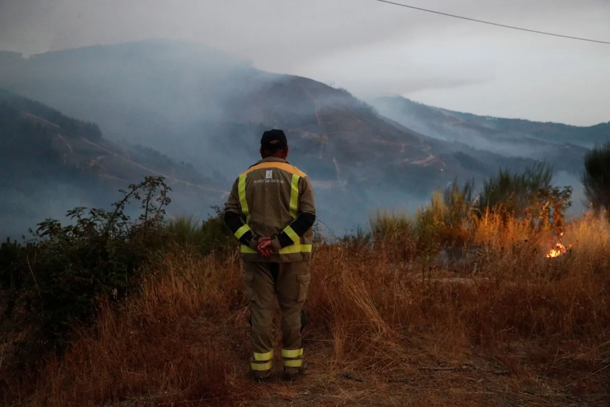 Fogos queimaram 400 mil hectares em Espanha em 2025, um recorde anual no país