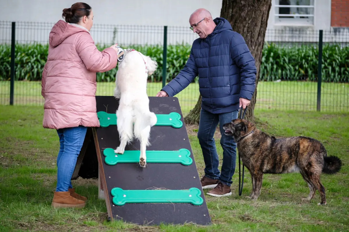 Parque no Jardim de Frejufe