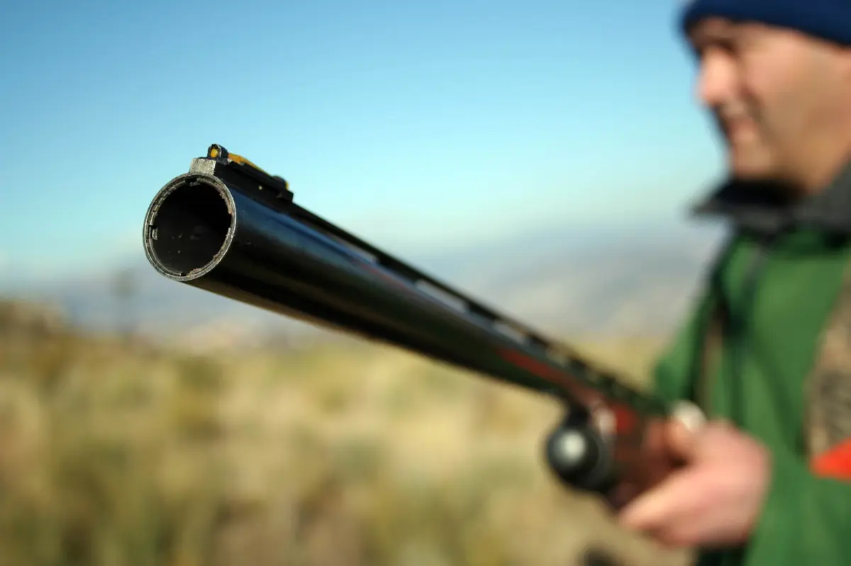 GNR deteve dois caçadores, em Matosinhos