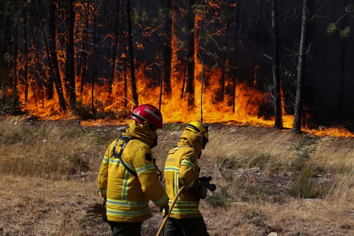 Sobre a possibilidade de domínio do incêndio no seu concelho, o autarca recusa-se a fazer previsões, face às mudanças constantes dos ventos ao longo dos últimos dias