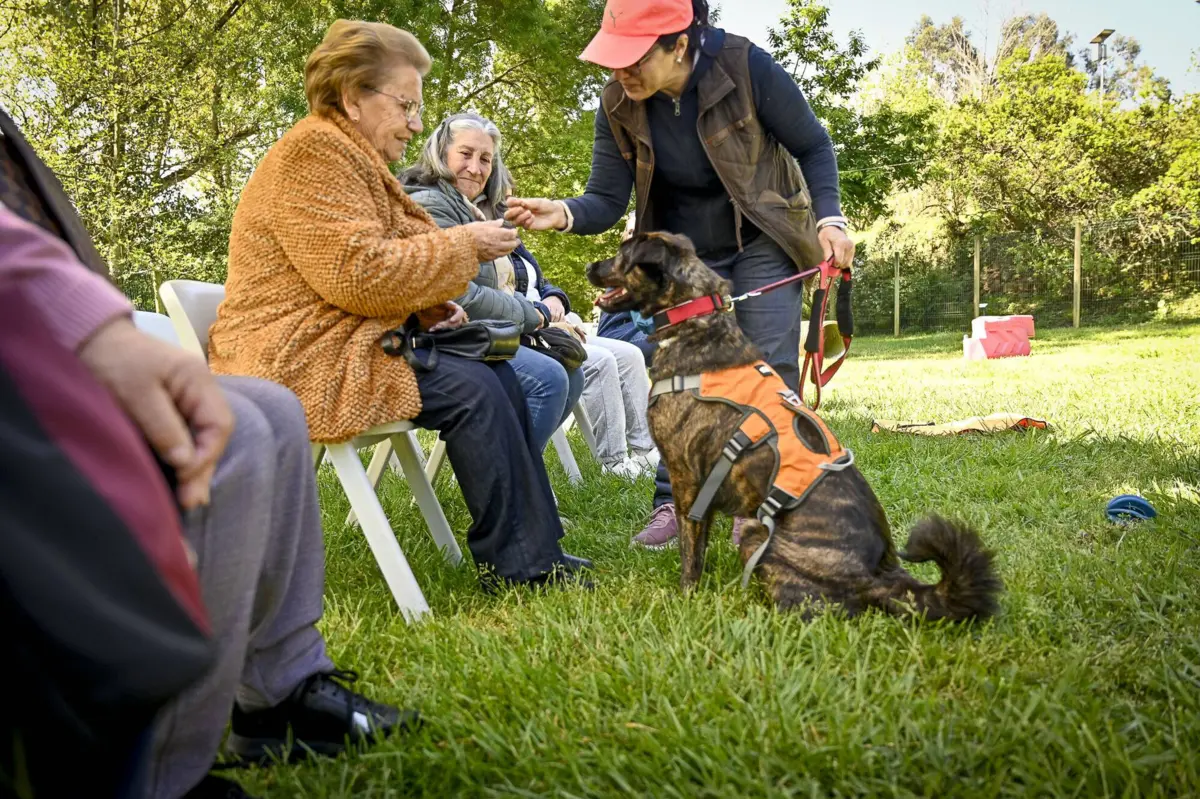 Projeto também visa promover o envelhecimento ativo