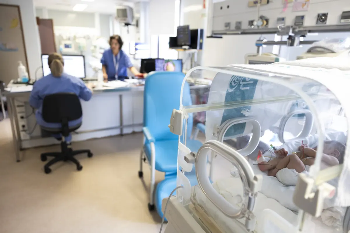 Imagem de contexto do artigo Medicamentos para infertilidade e endometriose terão mais apoio do Estado