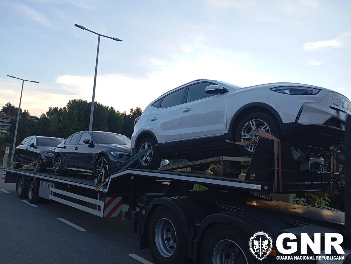 Veículos apreendidos na operação