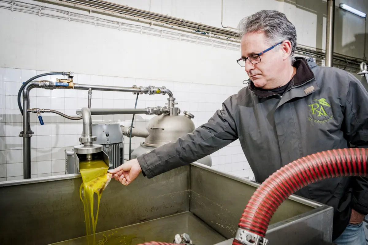 Artur Aragão, que tem lagar em Alfândega da Fé, receia que o azeite seja trocado por gorduras mais baratas