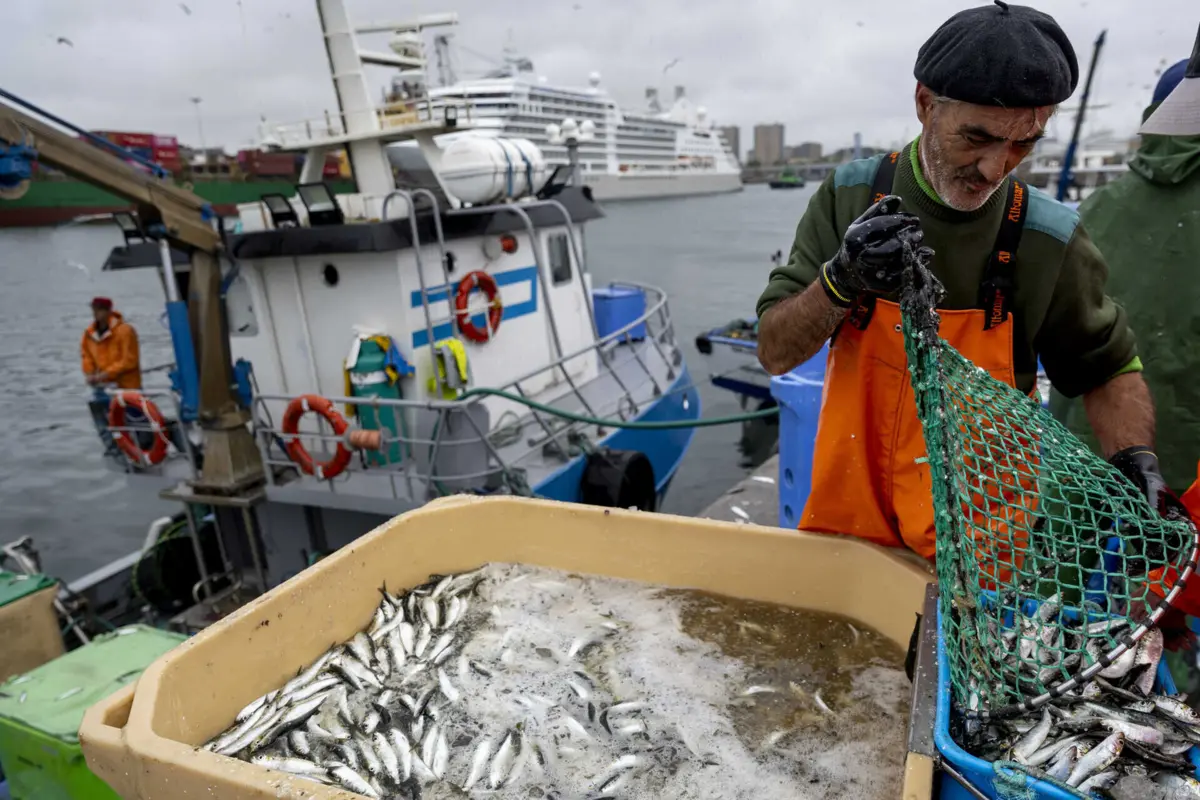 Imagem de contexto do artigo Há 4,3 milhões de euros para levar jovens para a pesca