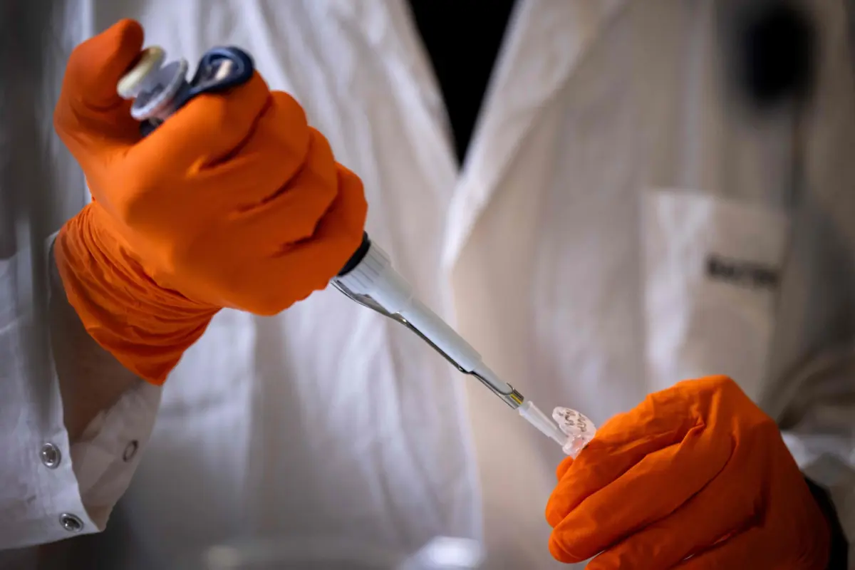 O sistema utilizado permite aos cientistas editar o ADN com precisão, cortando e modificando genes específicos para tratar doenças