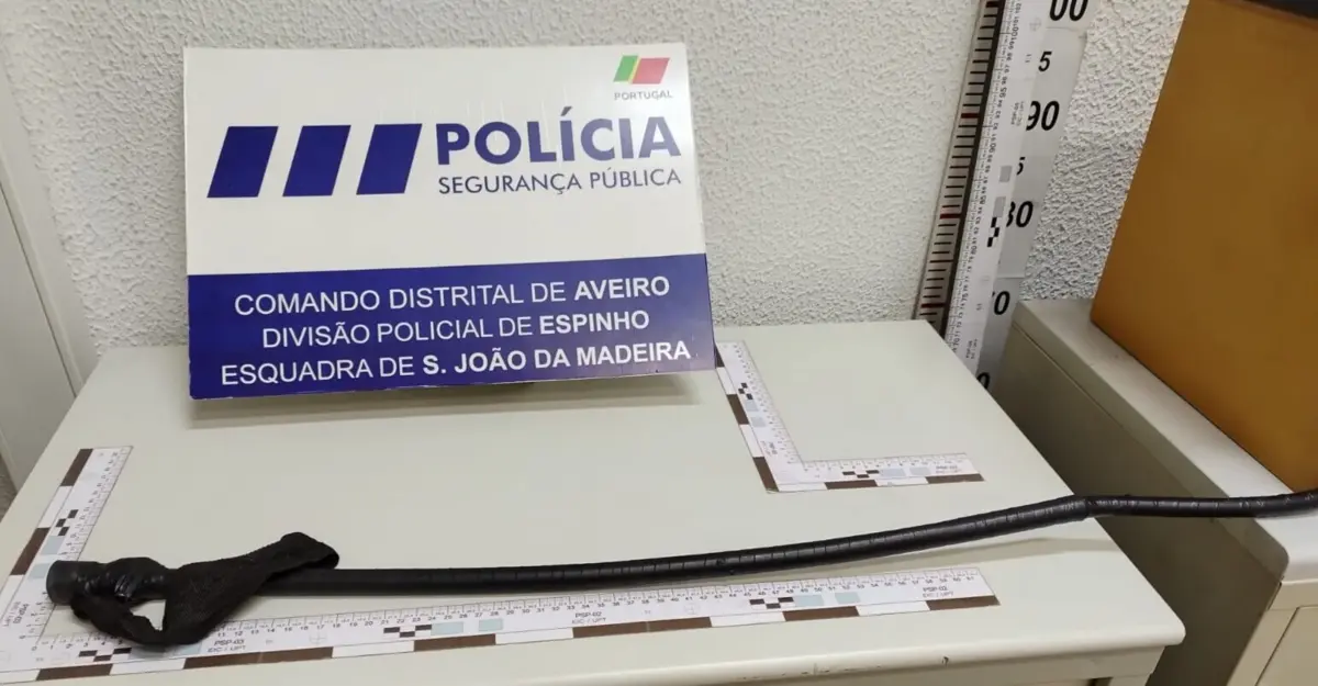 Polícia apreendeu o chicote que o suspeito usou para agredir a muher e um popular que o tentou acalmar