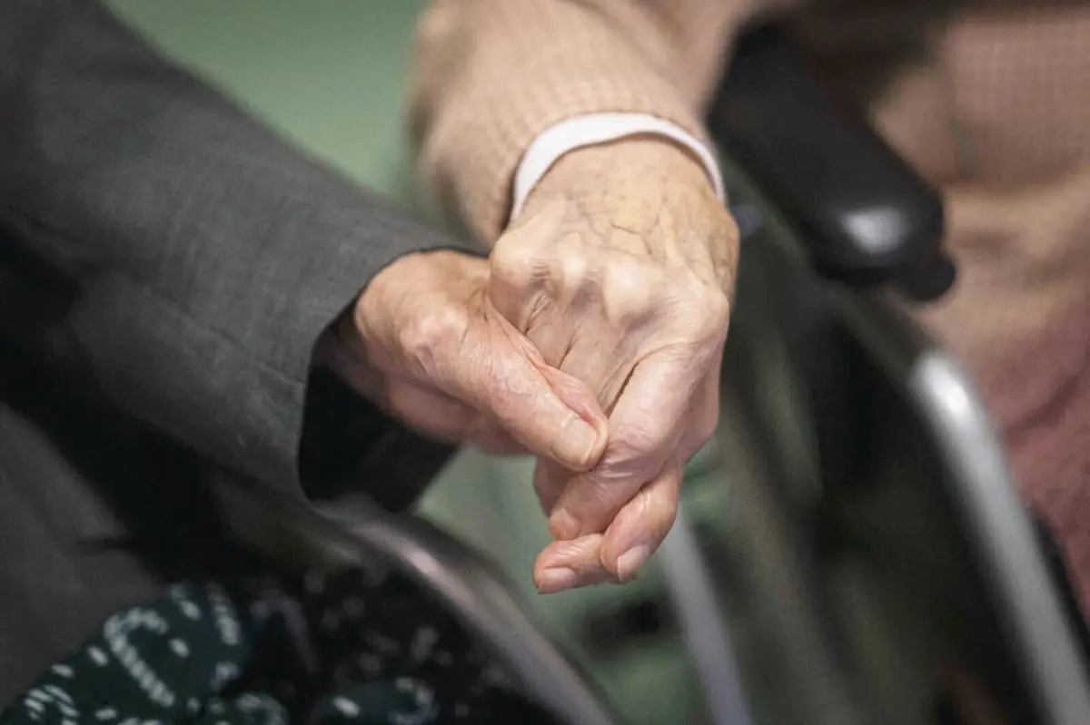 Imagem de contexto do artigo Há mais idosos a receber complemento solidário no Porto