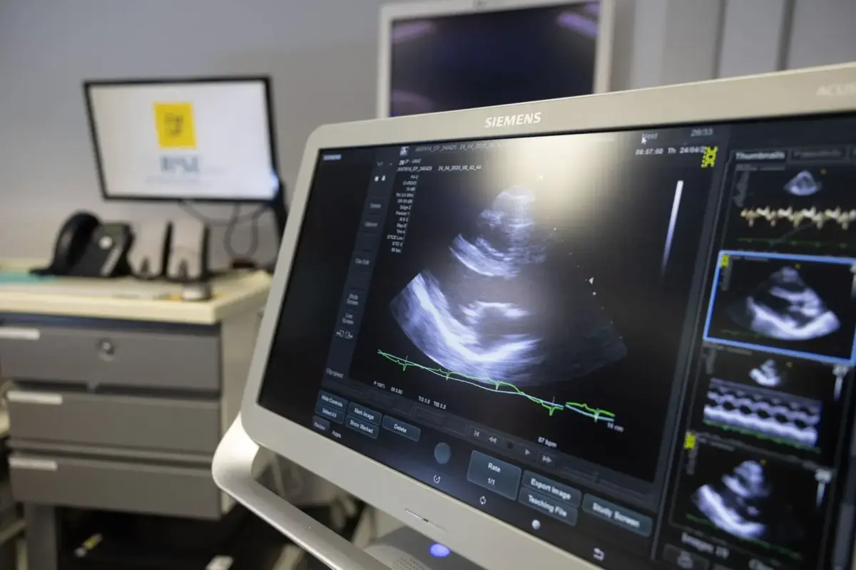 Utentes queixam-se de dificuldade na marcação e realização de exames, como ecografias e mamografias