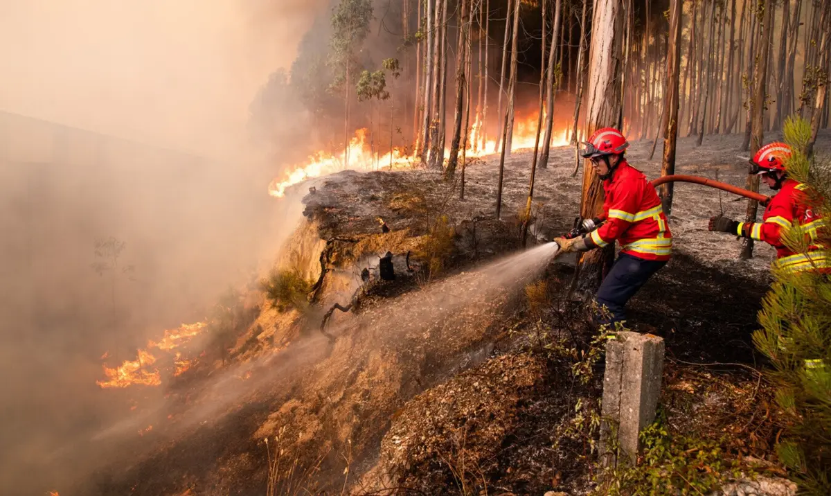 O incêndio está a queimar mato e floresta, perto da aldeia de Soutelinho do Mezio