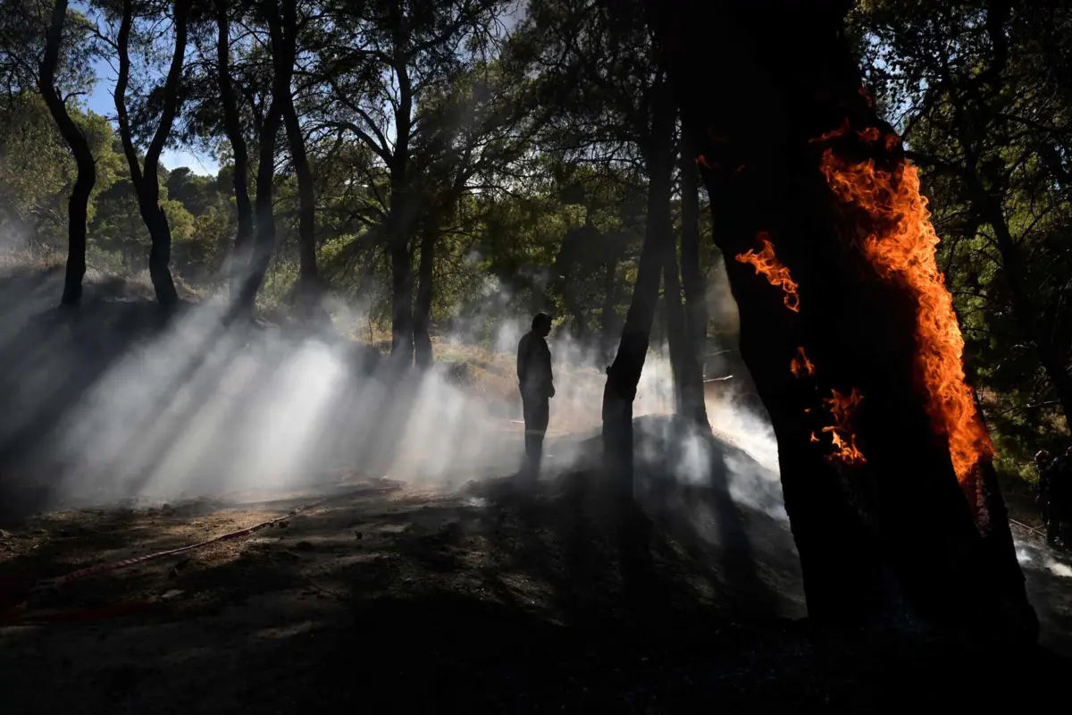 Já hoje foram registados 52 focos de incêndios florestais na Grécia