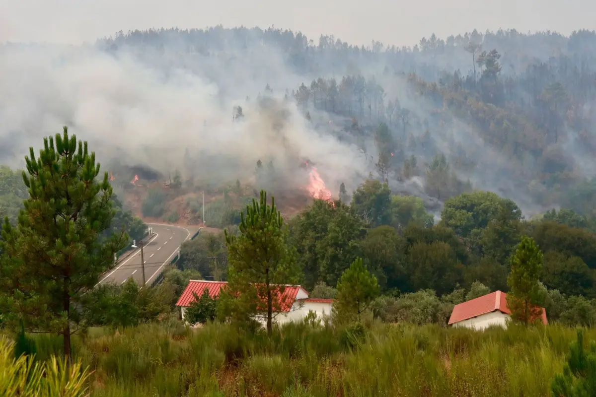 Incêndio que teve início em Arganil e alastrou a vários concelhos já terá consumido 53.224 hectares