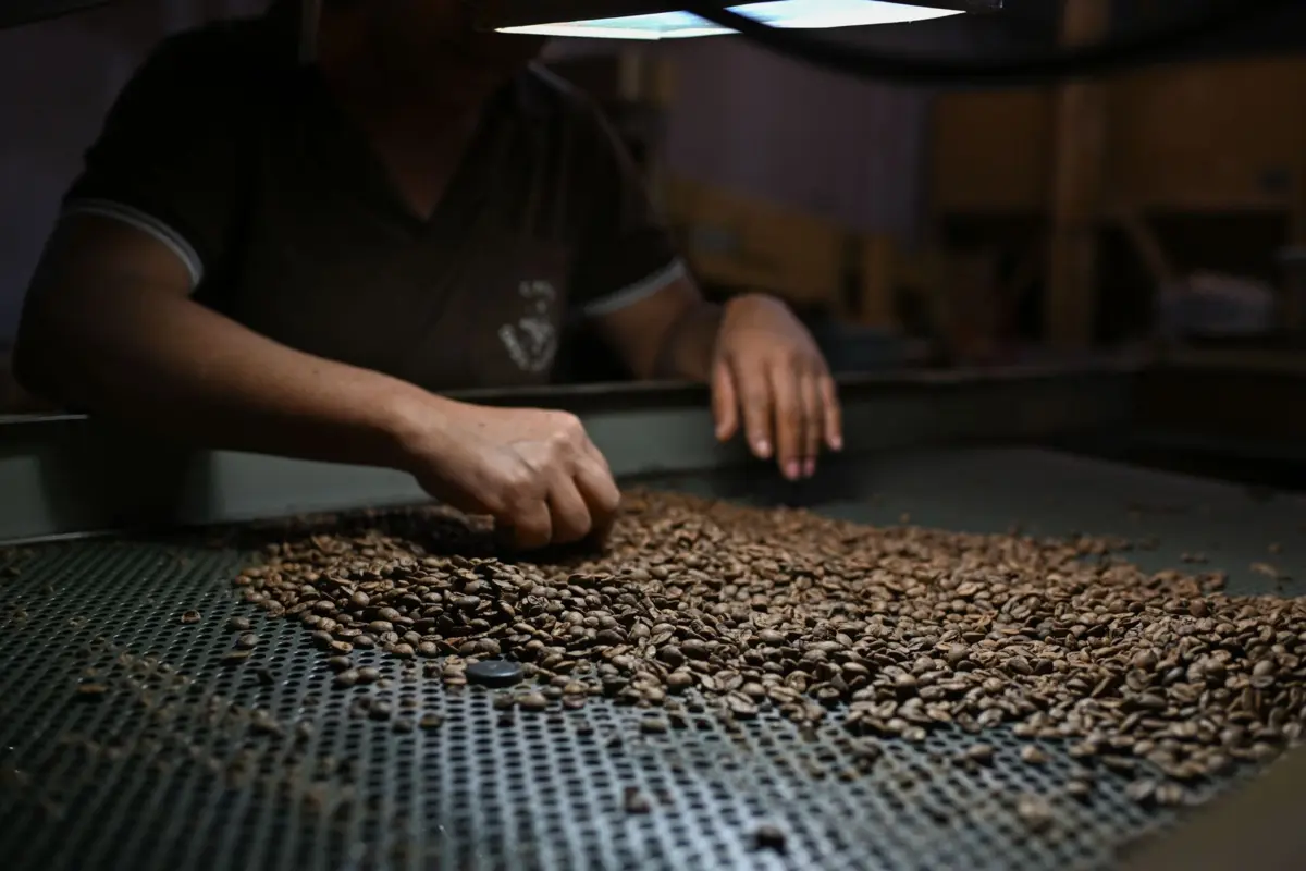 Produtos brasileiros como carne, café, frutas, entre outros, permanecem com a tarifa máxima