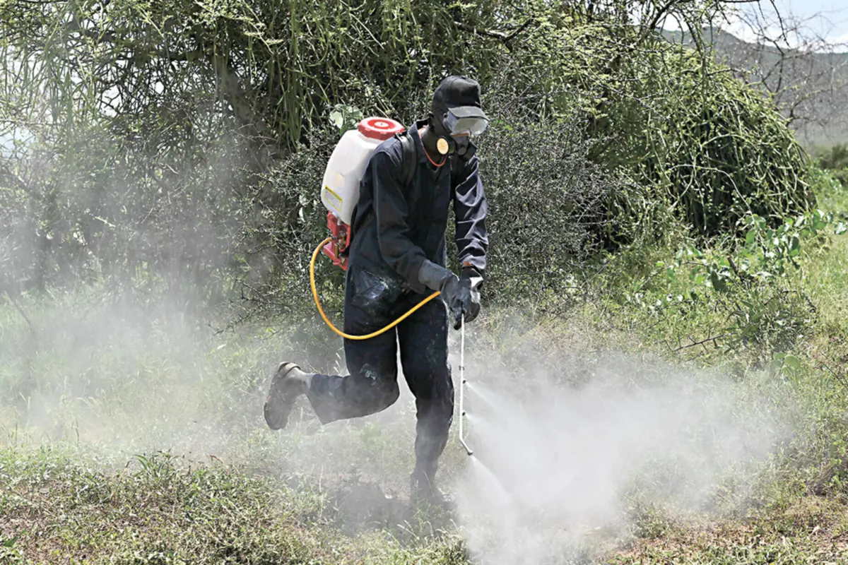 O glifosato é um herbicida controverso, mas amplamente utilizado