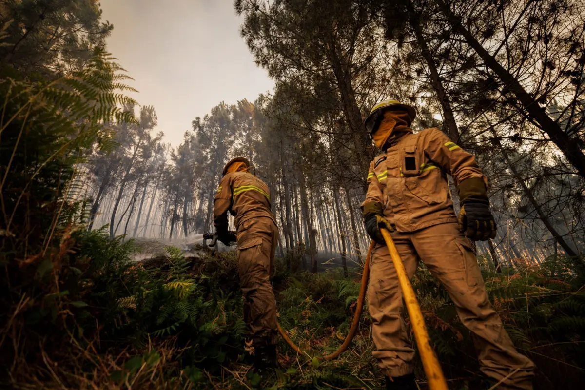 Imagem de contexto do artigo Fogo dominado em Arcos de Valdevez reacende e mobiliza 135 operacionais e quatro meios aéreos