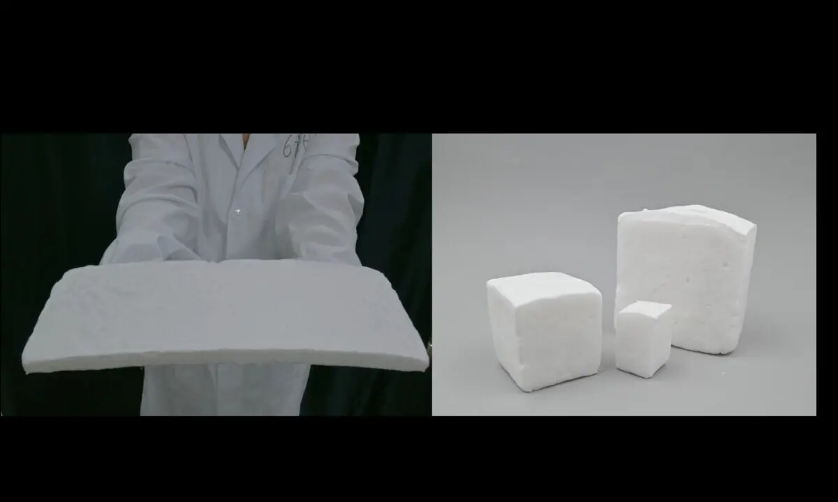 A esponja pode ter várias formas