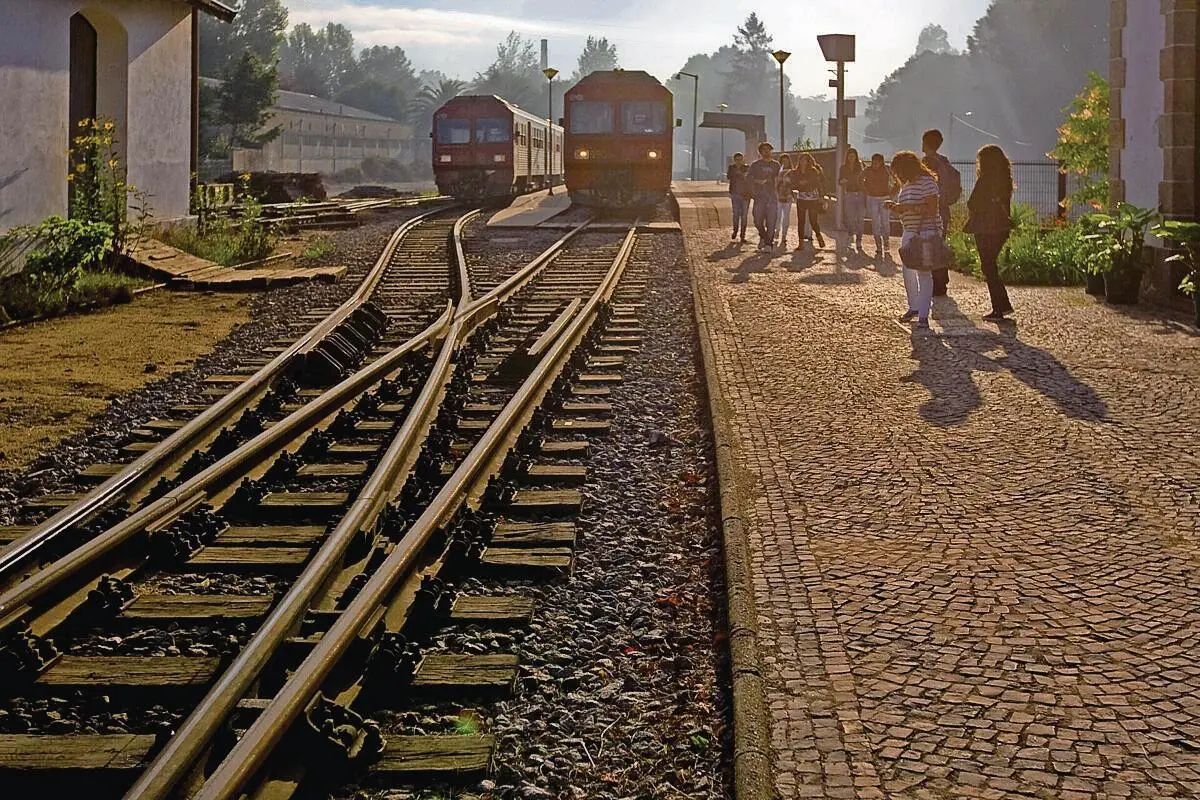 A linha ferroviária do Vouga está a ser requalificada pela Infraestruturas de Portugal