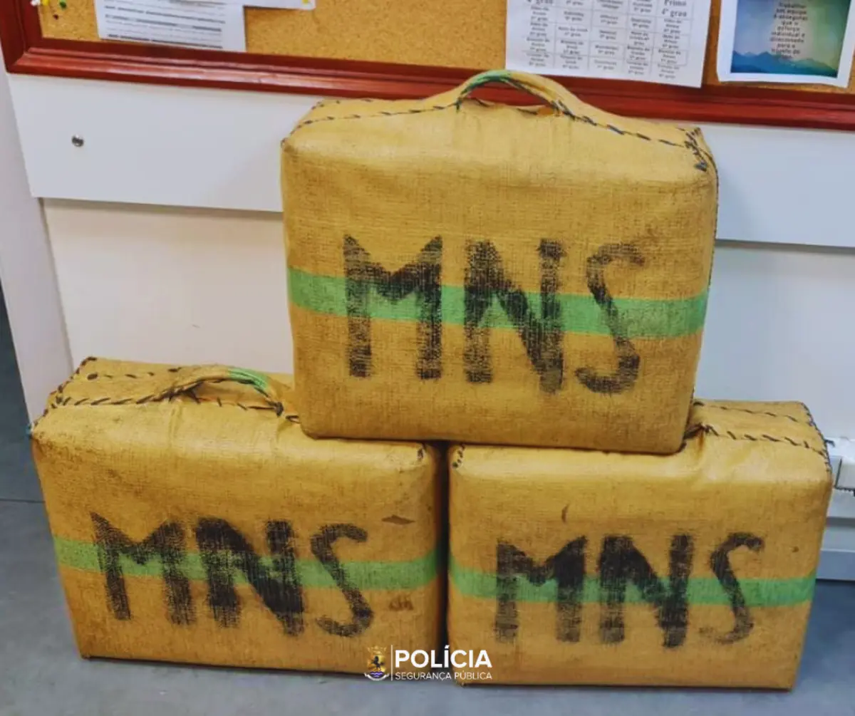 Haxixe apreendido era suficiente para 220 mil doses individuais