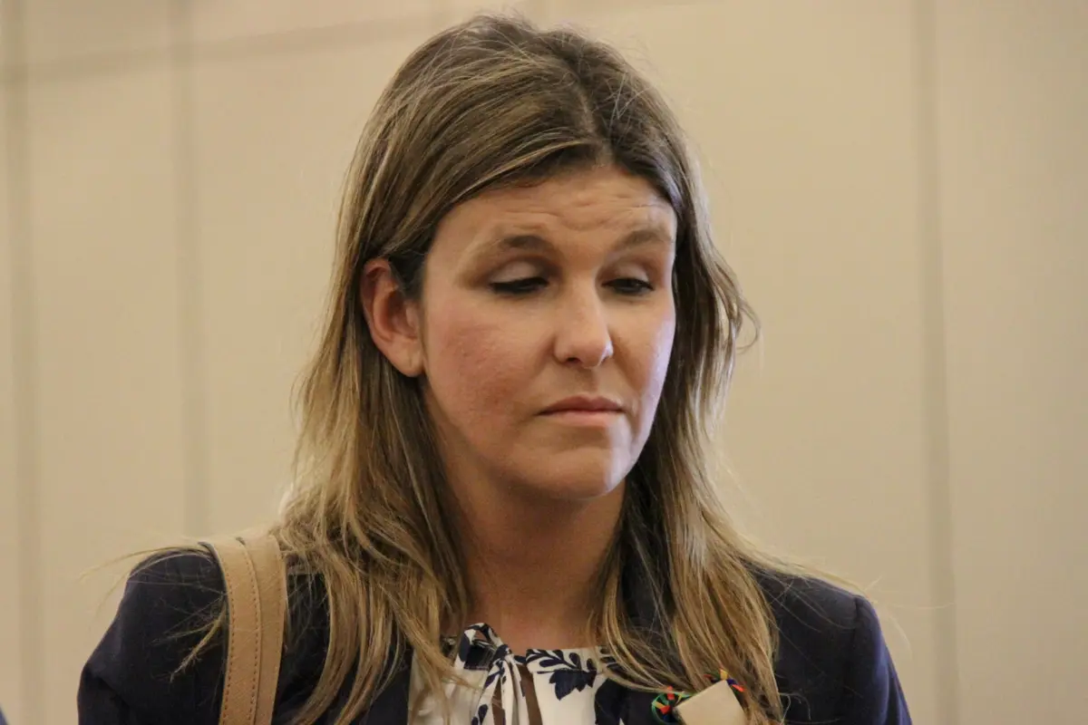 Acusações contra Ana Sofia Antunes levaram PS a pedir uma alteração ao código de conduta dos deputados