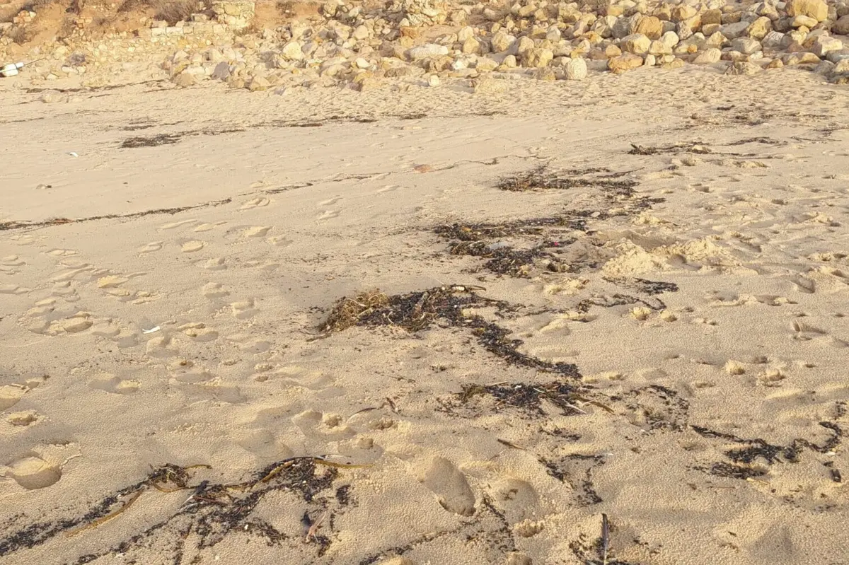 Praias foram interditadas a banhos no domingo, depois de ter sido detetada a presença de crude