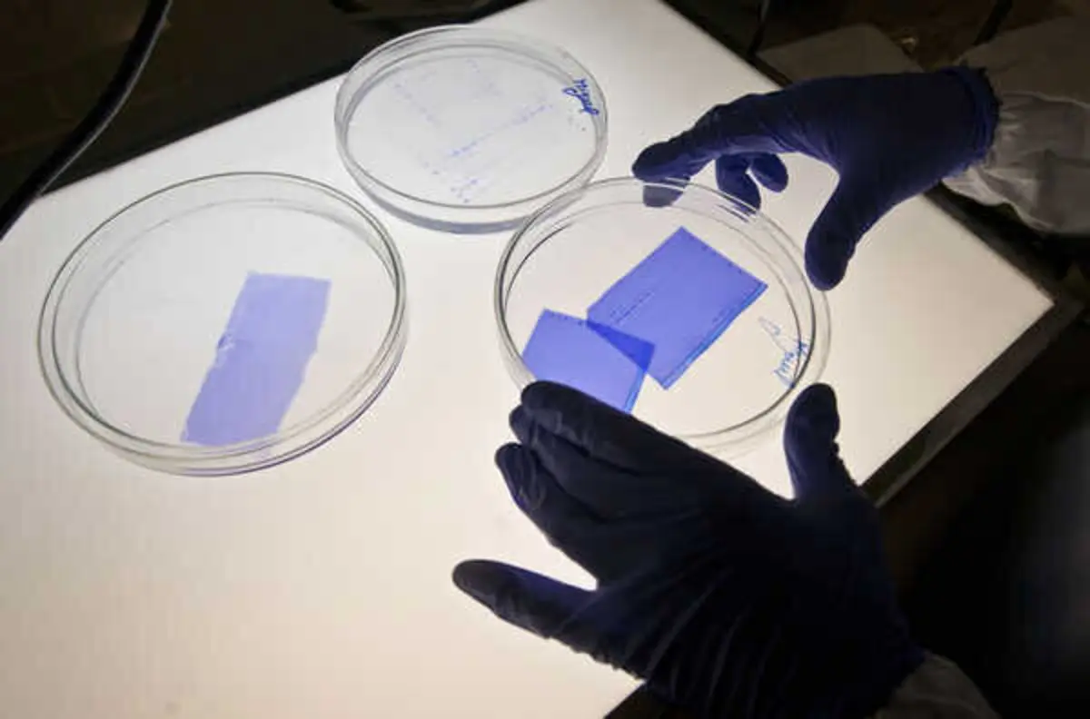 Imagem de contexto do artigo Ipatimup vence prémio mundial e recebe 50 mil dólares para investigação científica