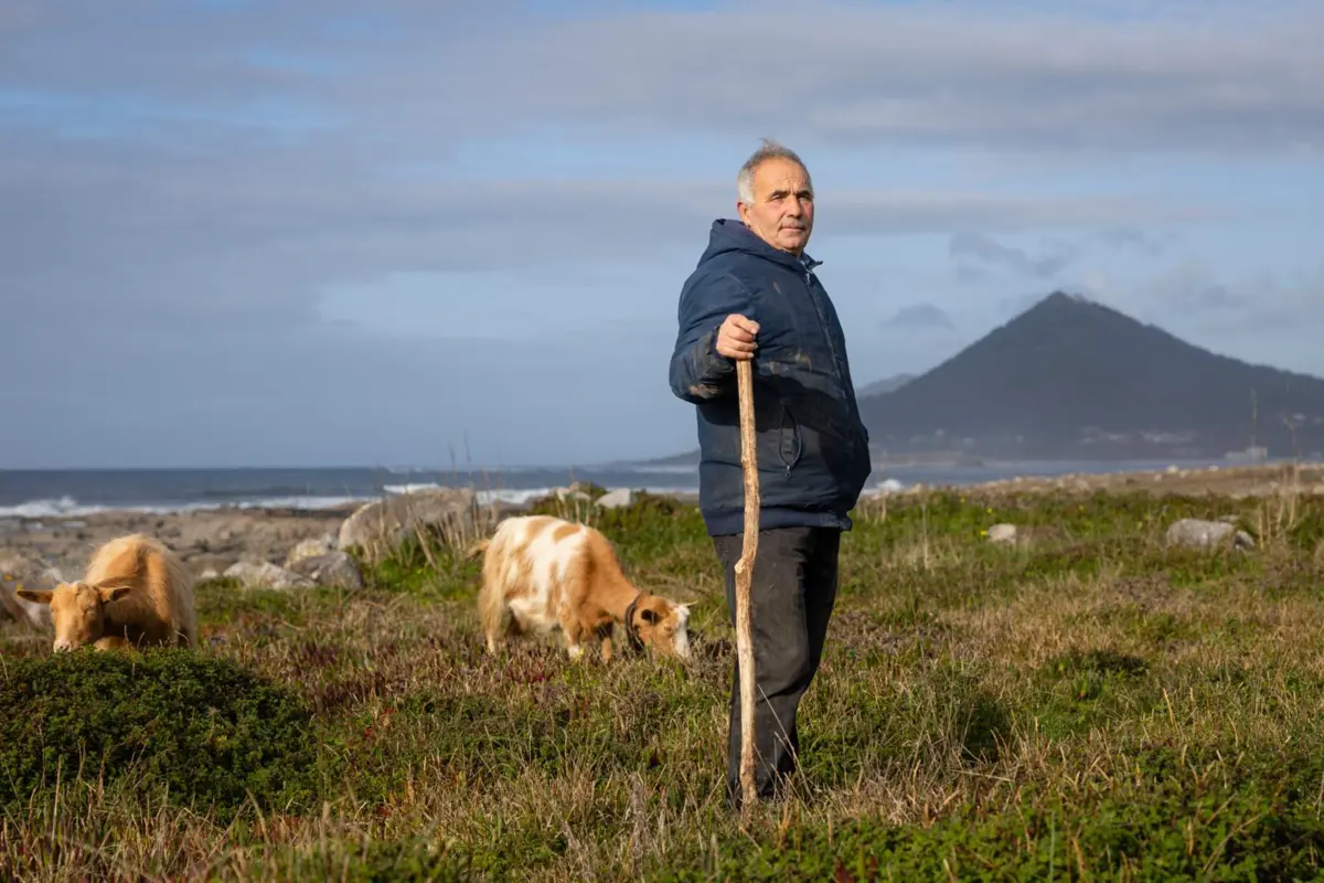 Pastor José Maciel aponta o encanto dos peregrinos com as cabras. "Até se ajoelham para fazer fotos"