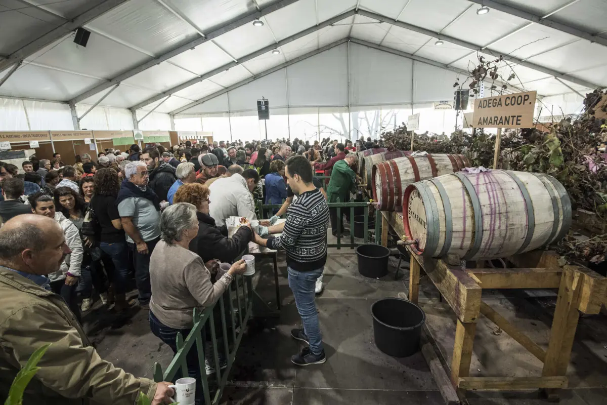 São Martinho atrai, todos os anos, milhares de pessoas a Penafiel