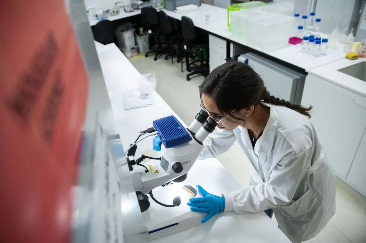 Projetos de proteção dos oceanos estão em fase avançada de desenvolvimento