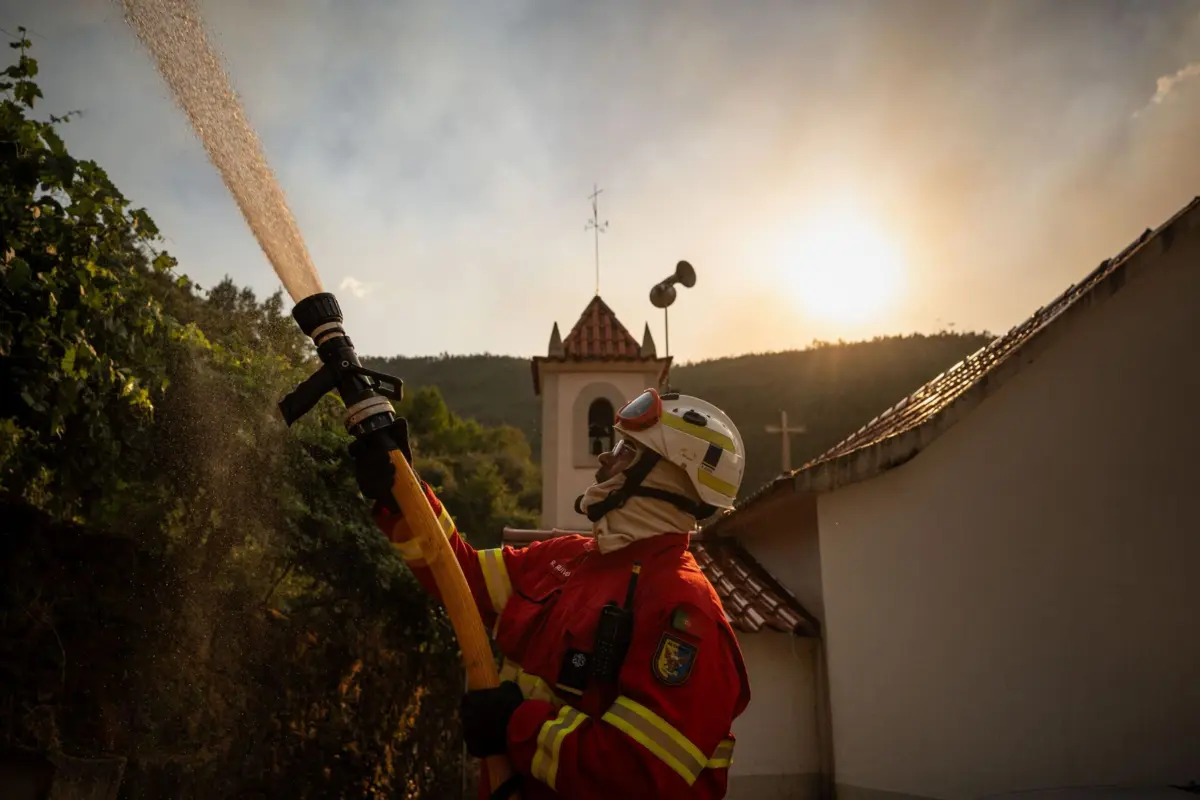 Durante a noite as chamas destruíram áreas de mato e floresta