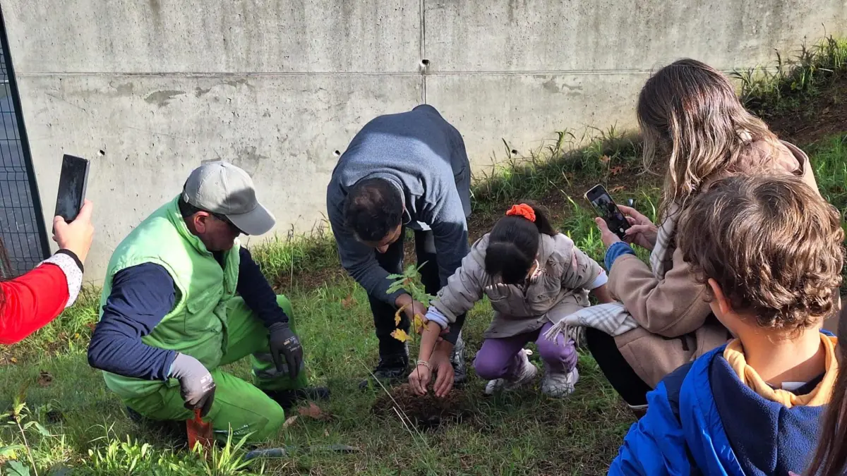 Plantação de árvores no Agrupamento de Escolas Ferreira de Castro