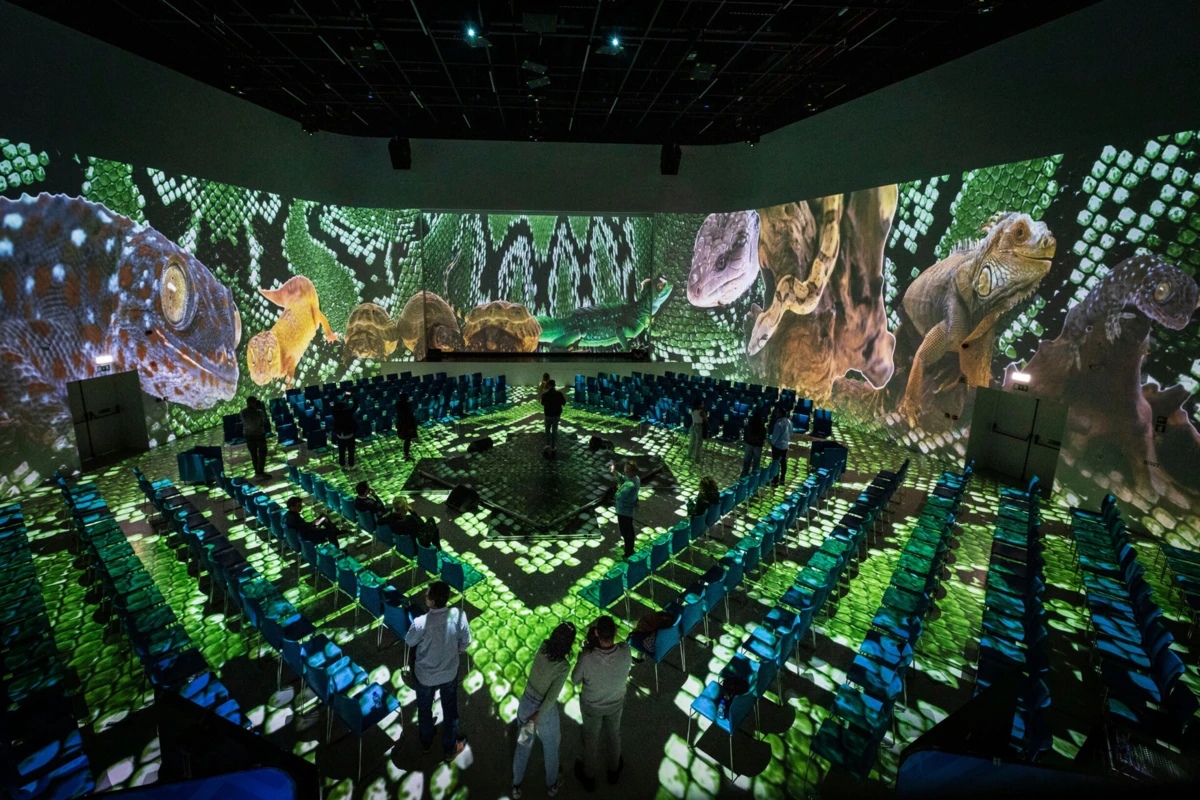 Aquanatur Palace resulta da reabilitação do antigo Cineteatro Flaviense, que esteve encerrado várias décadas