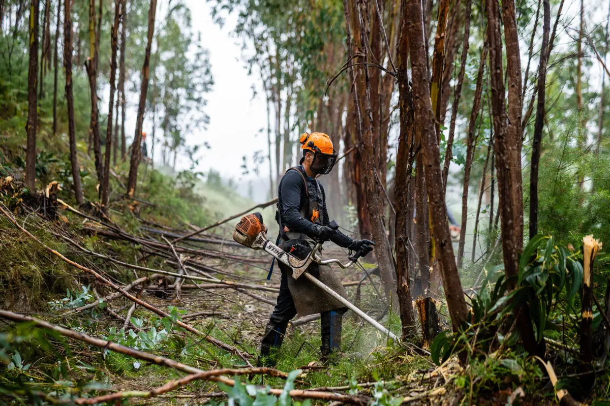 Trabalhos dever ser realizados até dia 31 de maio, depois há multas