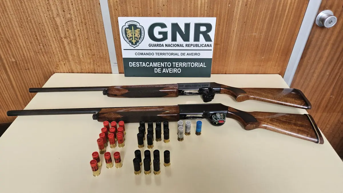 No decorrer da diligências foram apreendidas duas armas e 35 cartuchos