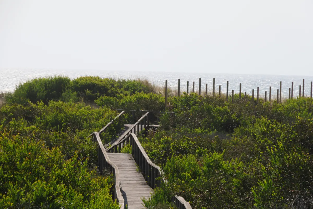 Obra passa pela qualificação de caminhos de terra e dos passadiços de madeira
