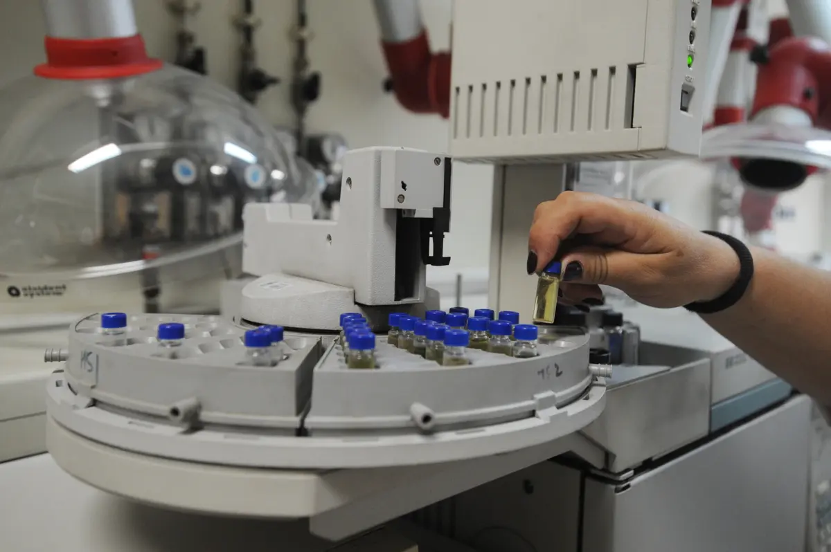 Laboratório da Polícia Científica da Polícia Judiciária em Lisboa detetou arecolina em tabaco de mascar