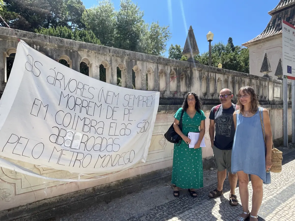 Grupo de cidadãos quer que a Câmara trabalhe no sentido de proteger as árvores