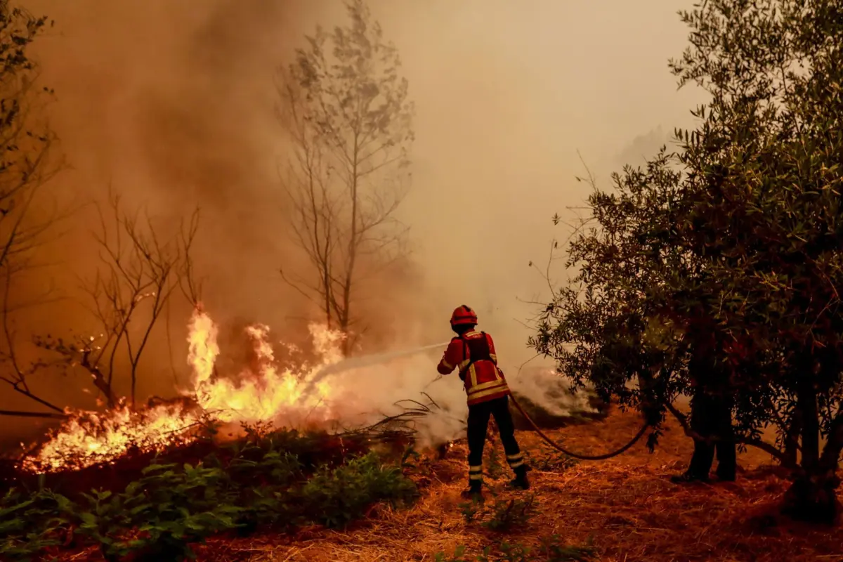 Portugal continental tem sido afetado por múltiplos incêndios rurais desde julho